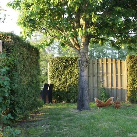 Romantisch De Hooiberg Berkenwoude