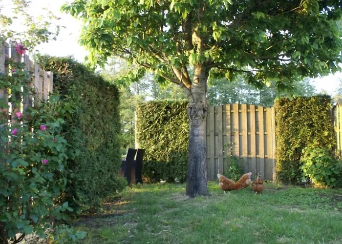 Romantisch De Hooiberg Berkenwoude